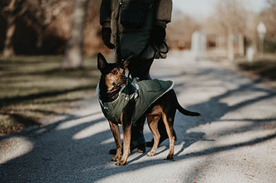 Kleingruppenwalk -<br>
Dienstag, 18:00
