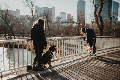 Letzter Walk vor der Sommerpause -<br>
Freitag, 18:00